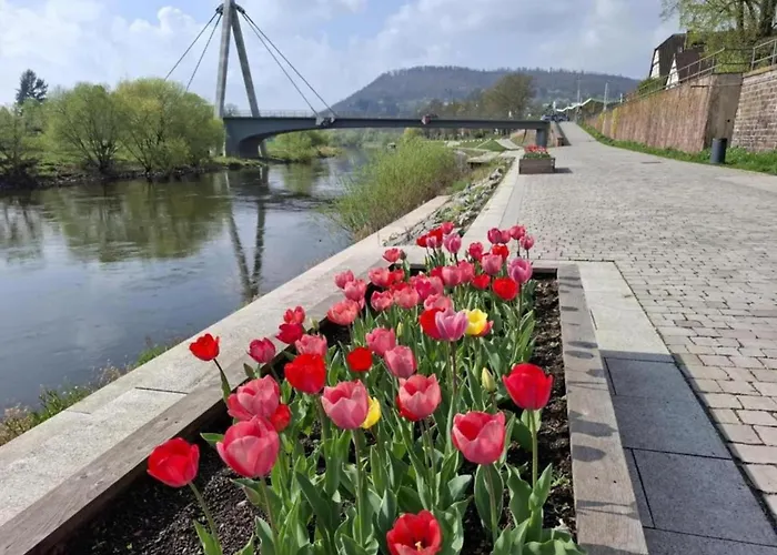 아파트 Im Weserbergland *