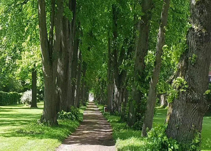 Im Weserbergland 아파트 혹스터