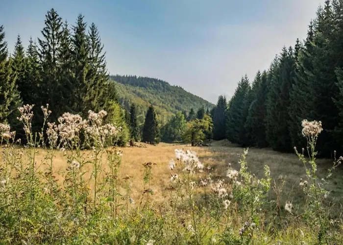 아파트 Im Weserbergland 혹스터